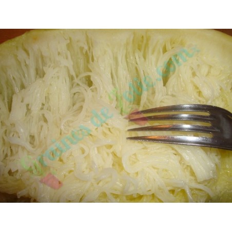 Courge SPAGHETTI