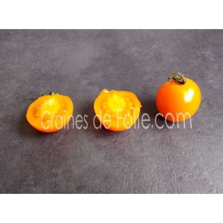 Tomate cocktail Ida Gold