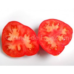 Tomate MARMANDE