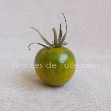 Tomate cerise RAISIN VERT