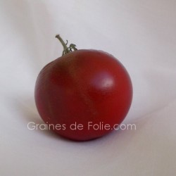 Tomate PRINCE NOIR