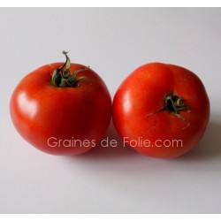 Tomate LANGUEDOCIENNE