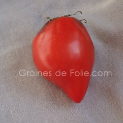 Tomate TETON de VENUS