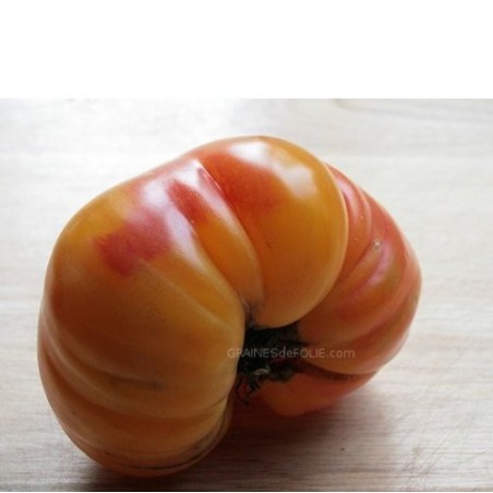 Tomate ANANAS