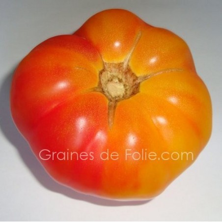Tomate ANANAS