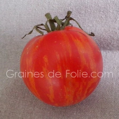 Tomate TIGERELLA