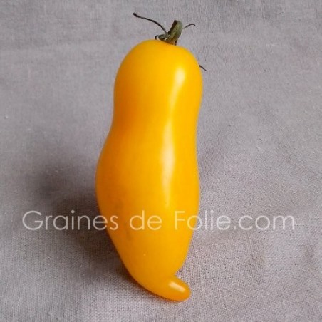 Tomate BANANA LEGGS