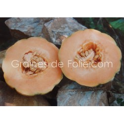 Melon de BELLEGARDE