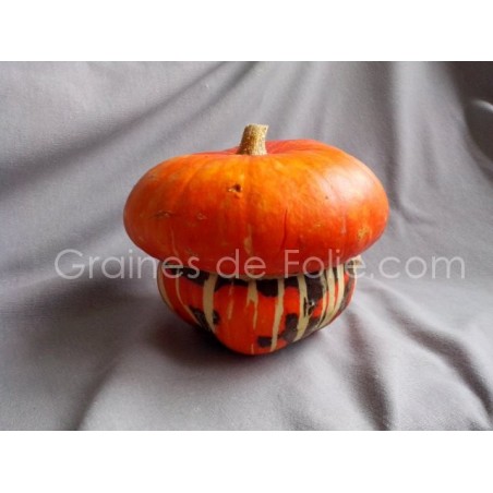 Giraumon TURBAN TURC