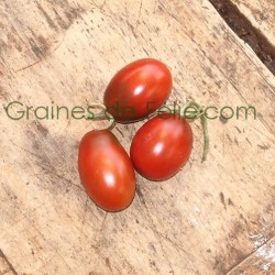 Tomate PRUNE NOIRE