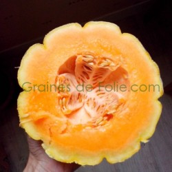 Graines de Melon de BELLEGARDE - BIO *