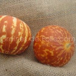 Graines de Melon TIGRE