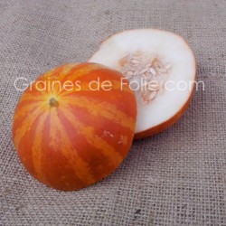 Graines de Melon TIGRE