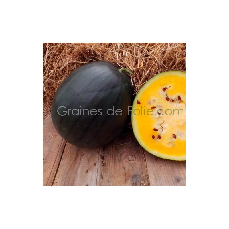 10 graines pastèque Jaune - Jardin & Plantes 10 graines pastèque Jaune - Jardin & Plantes