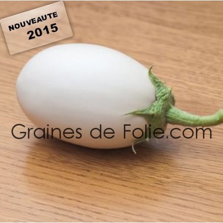 Aubergine BLANCHE RONDE A OEUF