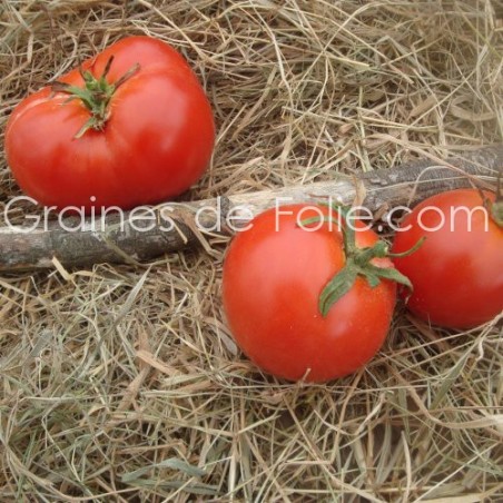 Rouge tomate vs rouge casaque what's the difference?