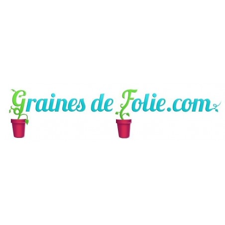 Piment antillais HABANERO ROUGE graines