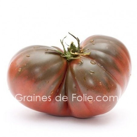 Tomate BRANDYWINE NOIRE graines semences ancienne