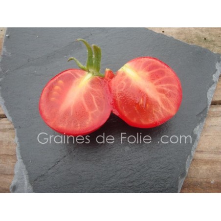 Tomate MATINA BIO semences anciennes graines certifiée agriculture biologique