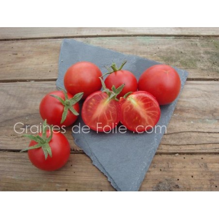 Tomate MATINA BIO semences anciennes graines certifiée agriculture biologique