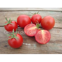 Tomate MATINA BIO semences anciennes graines certifiée agriculture biologique