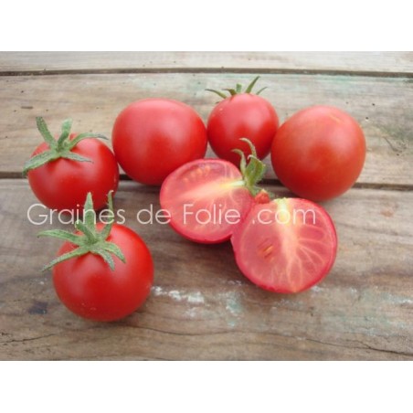 Tomate MATINA BIO semences anciennes graines certifiée agriculture biologique