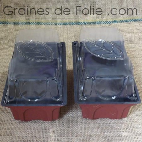 Mini serre avec Aérateur