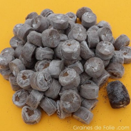 Pastilles Coco 30 mm déshydratées pour semis ou boutures