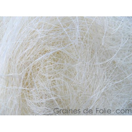 FIBRES A NICHER