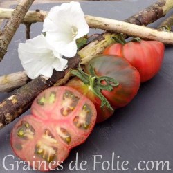 Bio Tomate noire BLACK SEA MAN graines