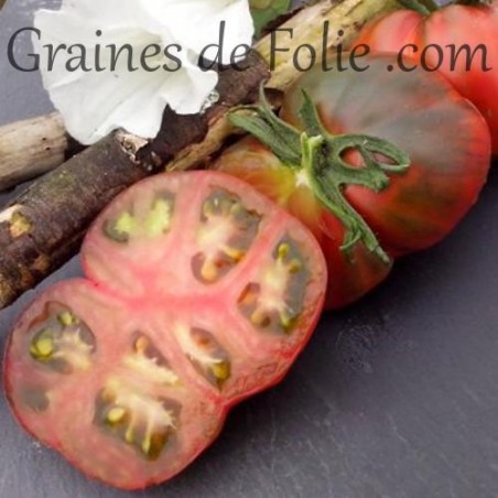 Bio Tomate noire BLACK SEA MAN graines