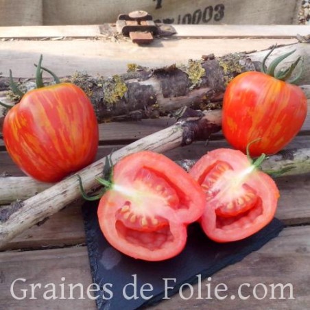 Tomate STRIPED STUFFER semences graines