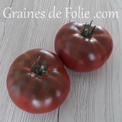 Bio Tomate CHEROKEE CHOCOLATE graines semences