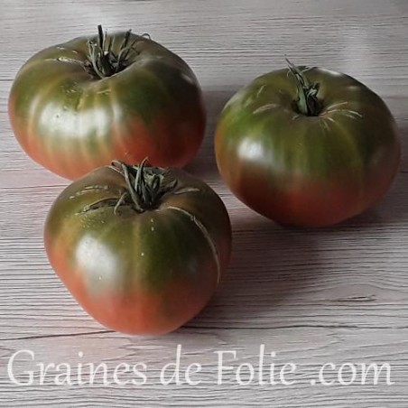 Bio Tomate CAPTAIN LUCKY graines semences anciennes