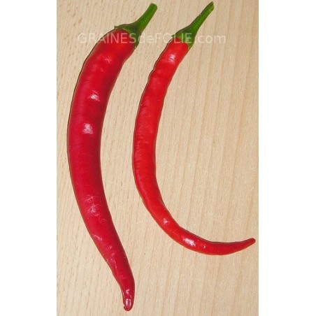 CAYENNE Piment graines semences