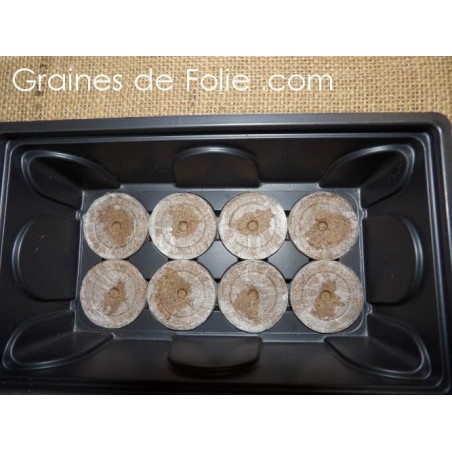 Mini serre avec X pastilles à semis Terreau et Tourbe
