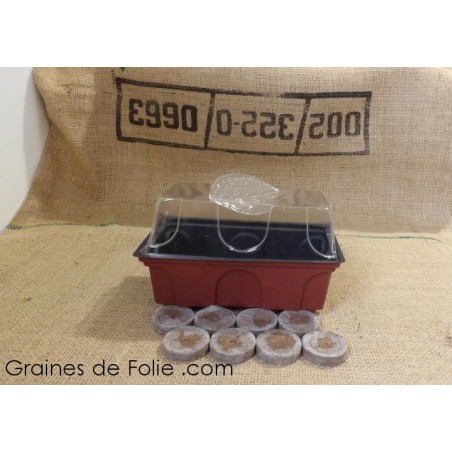 Mini serre avec X pastilles à semis Terreau et Tourbe