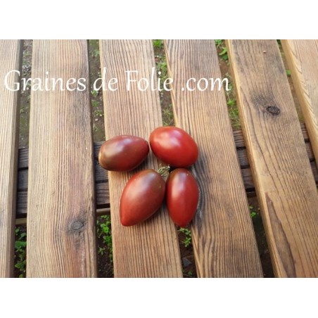 Bio Tomate PURPLE RUSSIAN graines semences anciennes