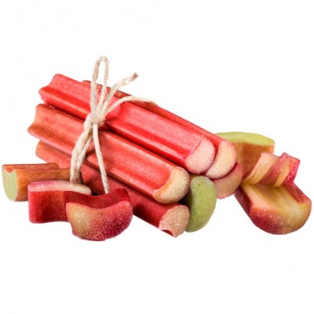 Rhubarbe VICTORIA graines semences anciennes