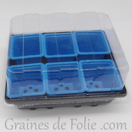 Mini serre avec 6 godets pour semis couleur bleu clair
