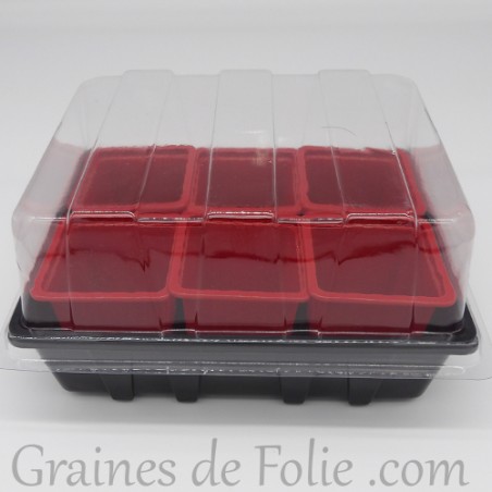 Mini serre avec 6 godets pour semis couleur rouge