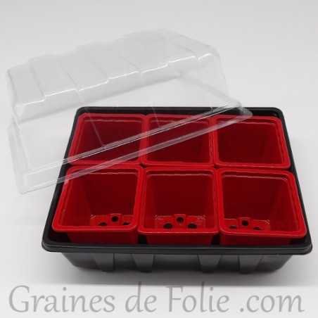 Mini serre avec 6 godets pour semis couleur rouge