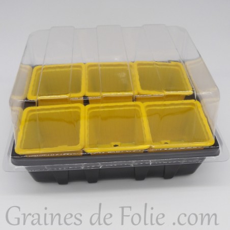 Mini serre avec 6 godets pour semis couleur jaune