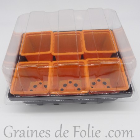Mini serre avec 6 godets pour semis couleur orange