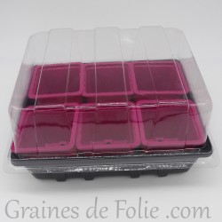 Mini serre avec 6 godets pour semis couleur fuchsia