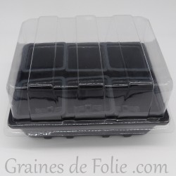 Mini serre avec 6 godets pour semis couleur gris