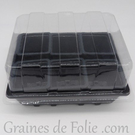 Mini serre avec 6 godets pour semis couleur gris