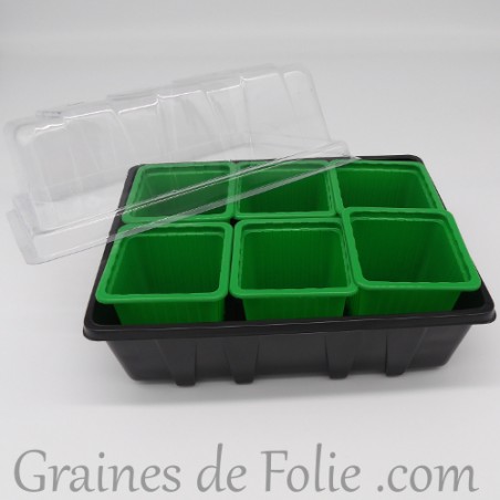 Mini serre avec 6 godets pour semis couleur vert clair