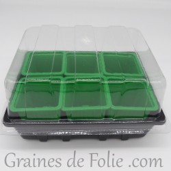 Mini serre avec 6 godets pour semis couleur vert clair