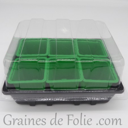 Mini serre avec 6 godets pour semis couleur vert clair
